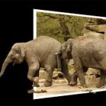 olifanten-150x150